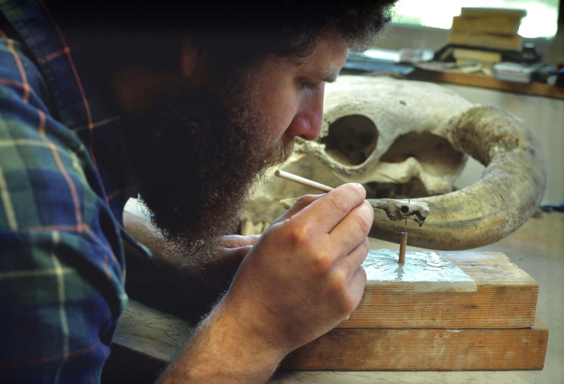 Richard Notkin carving small porcelain skull.  Myrtle Point, OR, 1978. Photo courtesy of Richard Notkin.
