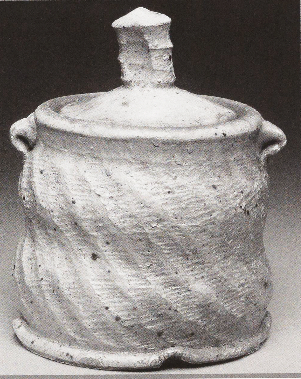 Wood salt-fire covered jar, Gregory Miller, 2002