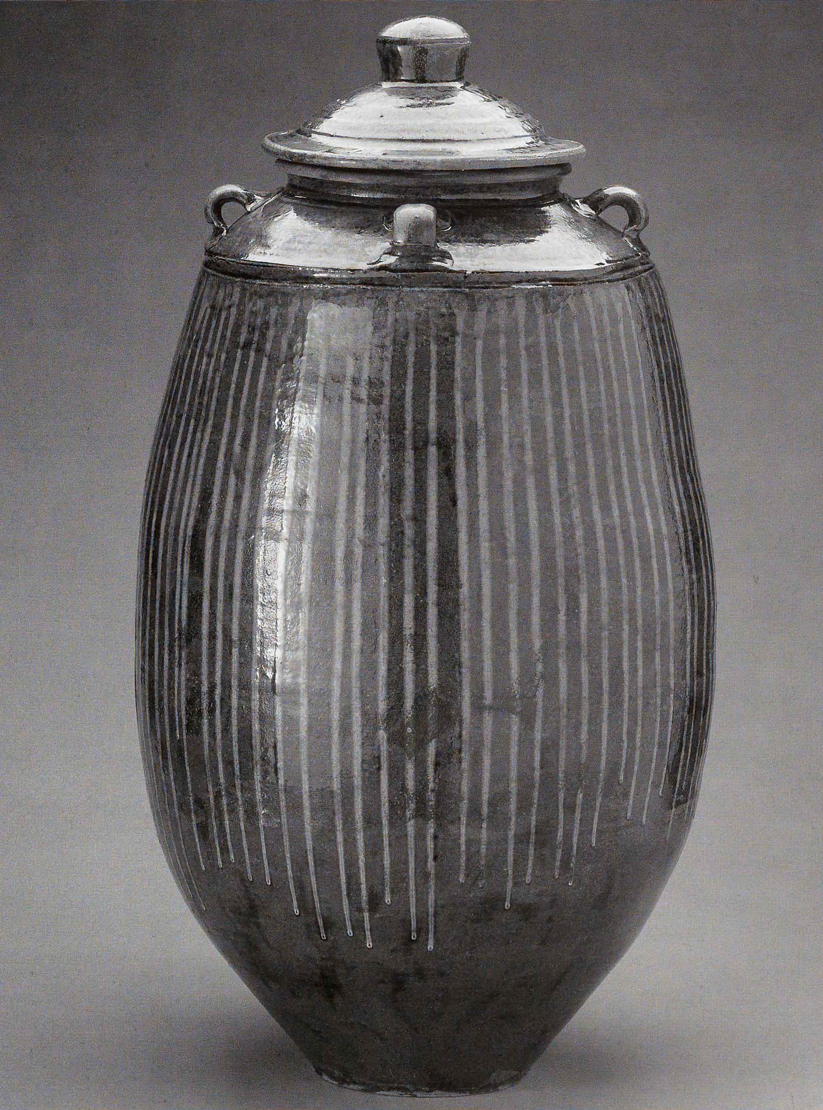 Grain Jar, March 2005. Cone 10 woodfired stoneware, ash glaze over porcelain and local clay slips. H 36" x W 16". Photograph by VanZandenbergen.