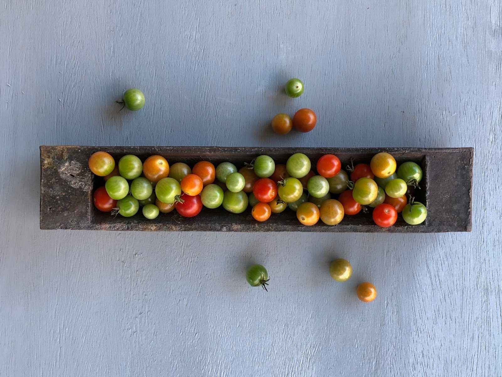 Olive Trough serving cherry tomatoes, Wood-fired tray, reduction cooled, 2.25x3x14.75 inches, 2020. Photo credit: Lindsay Oesterritter