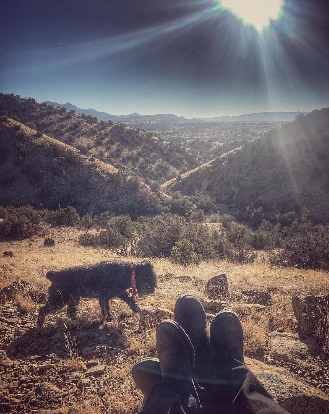 Appreciating the view in the desert after a good hike.