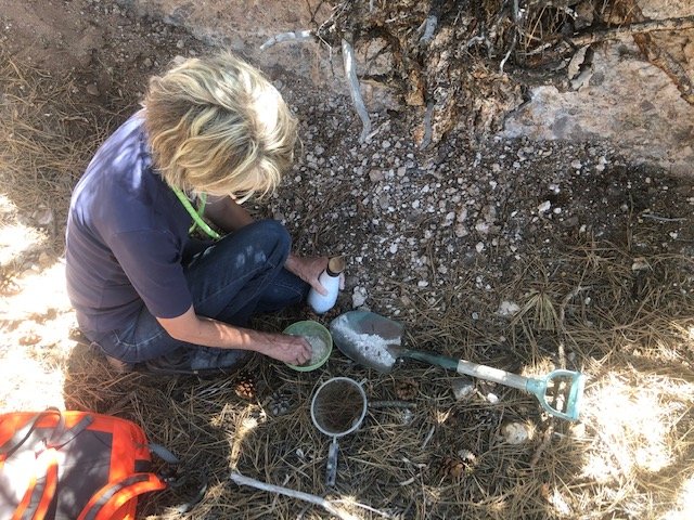 Betsy Williams with her prospecting kit collecting samples. Photo credit: Alma De Luna
