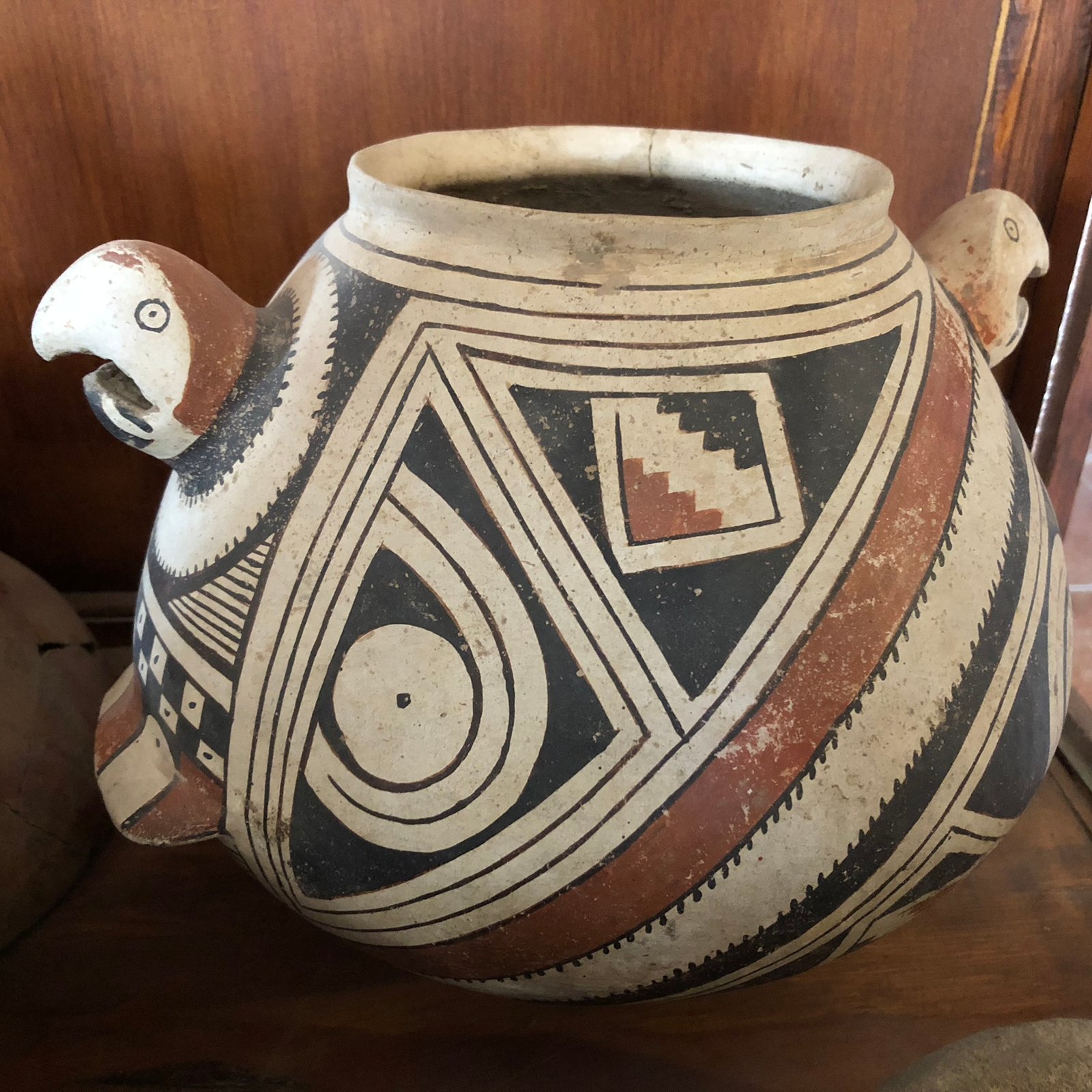 From the author’s personal collection, pre-Hispanic Ramos Polychrome vessel, characterized by a white to light gray paste and surfaces, often poorly polished and light in color. Vessels tend to be evenly and consistently shaped, often exhibiting an almost sculptural appearance. Vessel forms often consist of steep neck less jars that gradually slope inward, ollas with globular bodies and straight narrow openings, steep bowls and effigies. Ramos Polychrome is by far the most common Casas Grandes type. Photo credit: Diego Valles