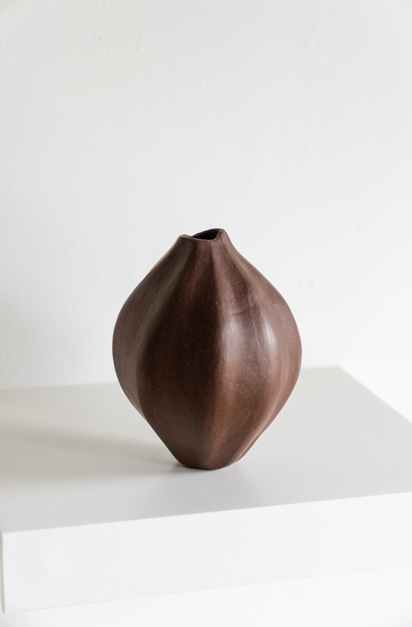 “The Seed” sculptural vessel by Aubrey Sloan, cone 6, dark stoneware, burnished. Photo courtesy of Ty and Chey.